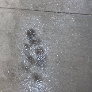 Meet your Posher, Thomas